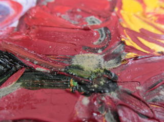 絵具に発生したカビ