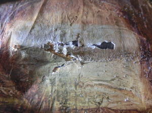 絵画の保存修復作業39