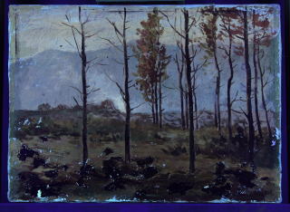 絵画の保存修復作業2